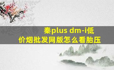 秦plus dm-i(低价烟批发网)版怎么看胎压